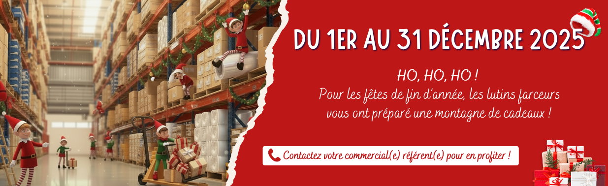 Banniere_web_site_GD_Offre_Noel0